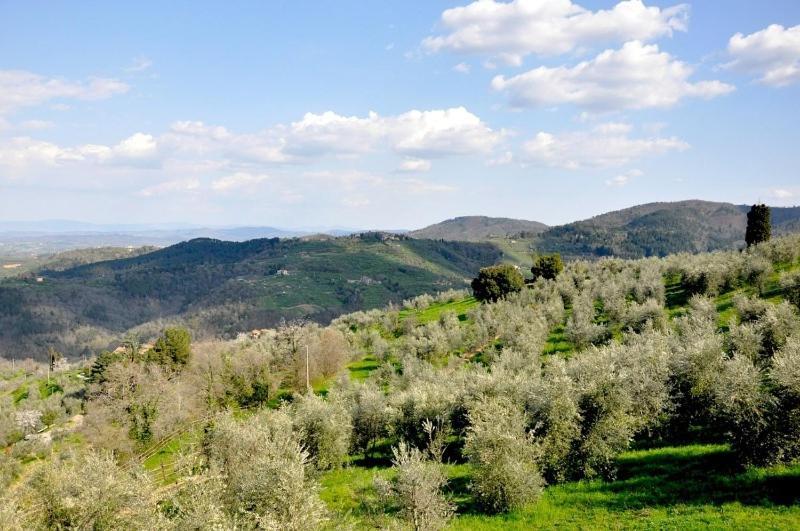 Agriturismo La Forra Cavriglia Zimmer foto